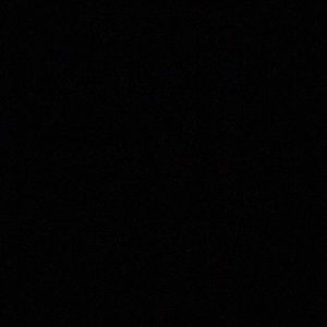 Meet your Posher, Oscar